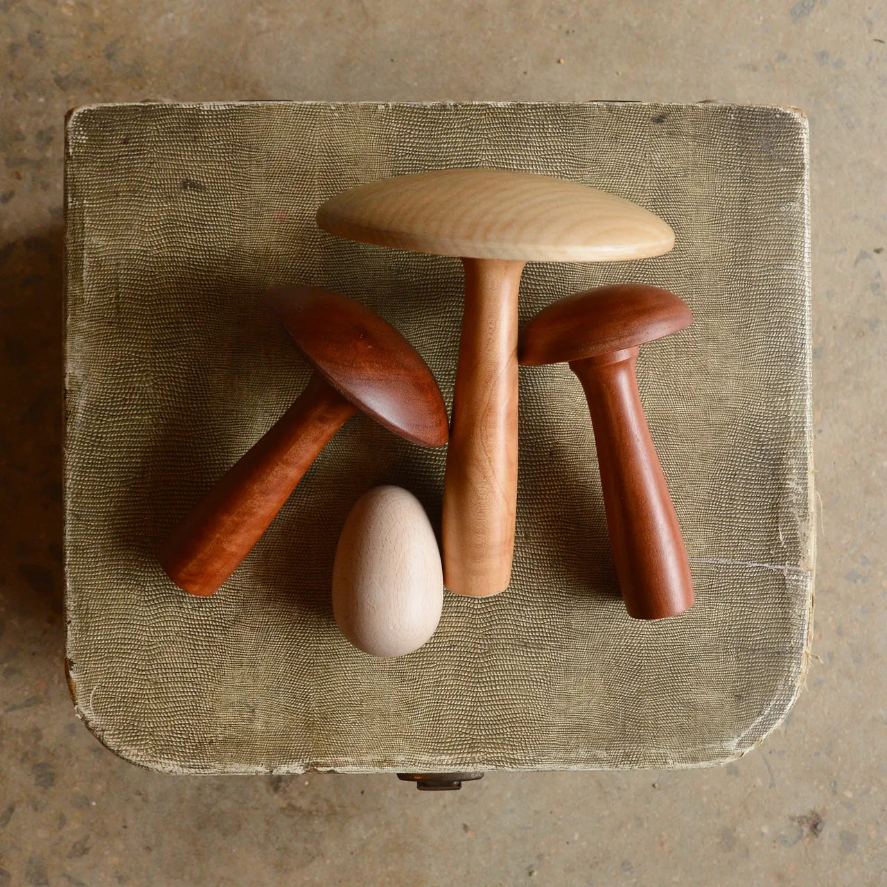 Large Darning Mushroom